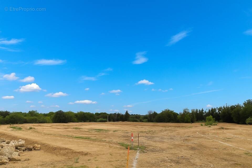 Terrain à VILLELONGUE-DELS-MONTS