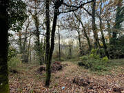 Terrain à BRIVE-LA-GAILLARDE