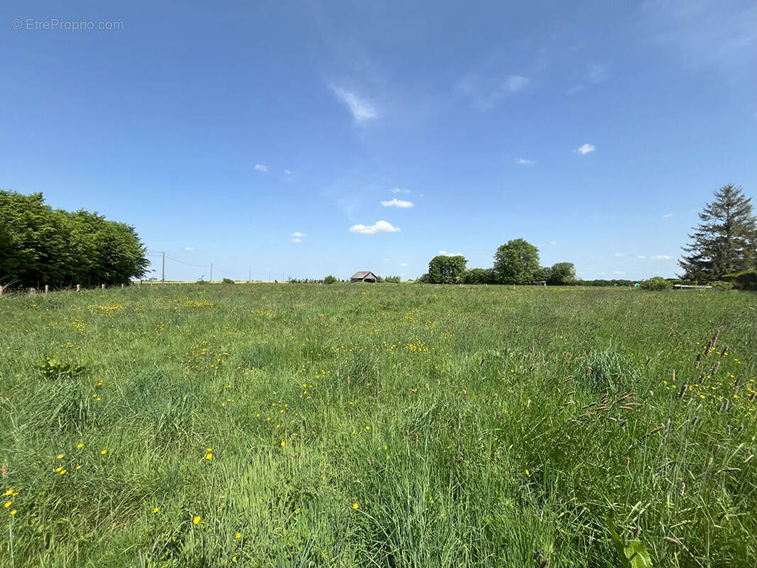 Terrain à CESSEVILLE