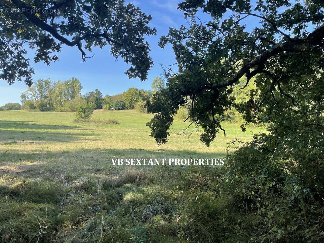 A 15mn de Bordeaux,  environnement exceptionnel pour ce domaine de 8 hectares avec 3 maisons - photo 15