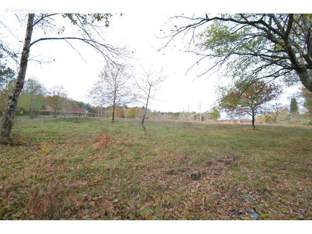 Terrain à SAINT-JEAN-D&#039;ATAUX