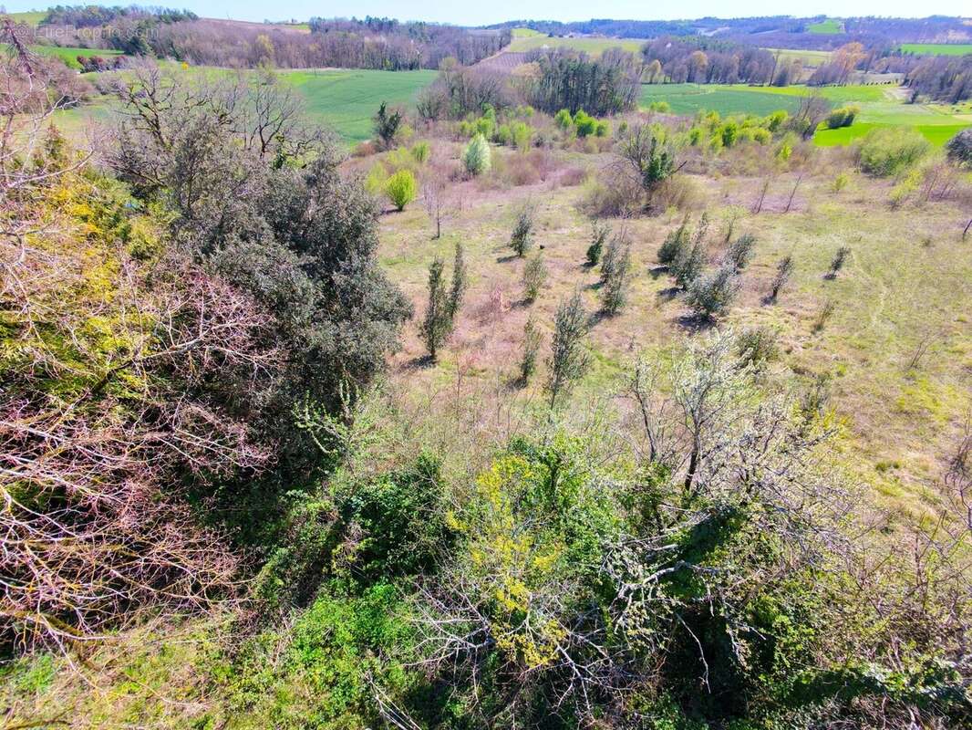 Maison à VERTEILLAC