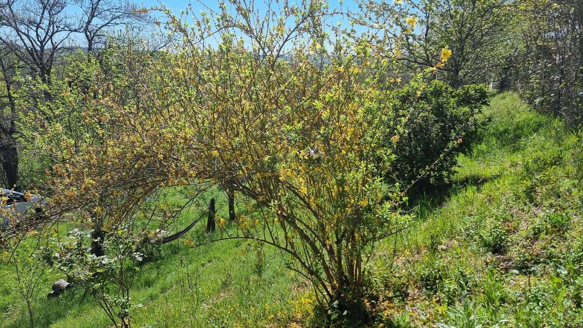 20260408125734 - Maison à BAGNAC-SUR-CELE