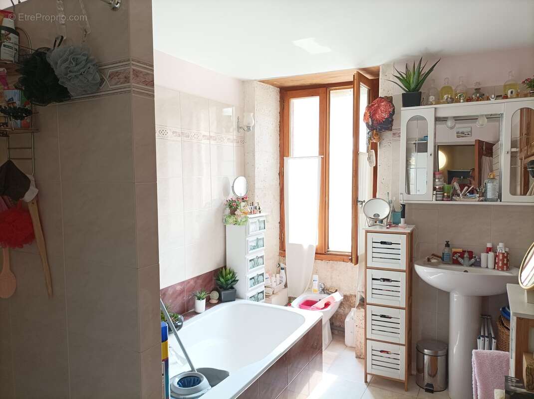Maison 186 m² à Saint-Severin  - photo 223