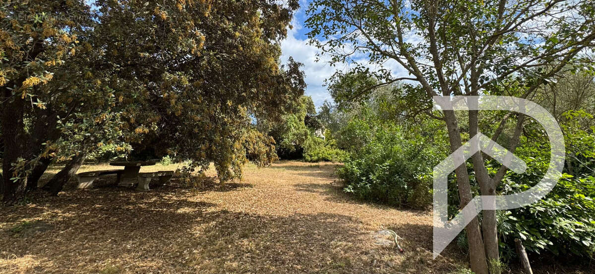 Maison à BALARUC-LE-VIEUX