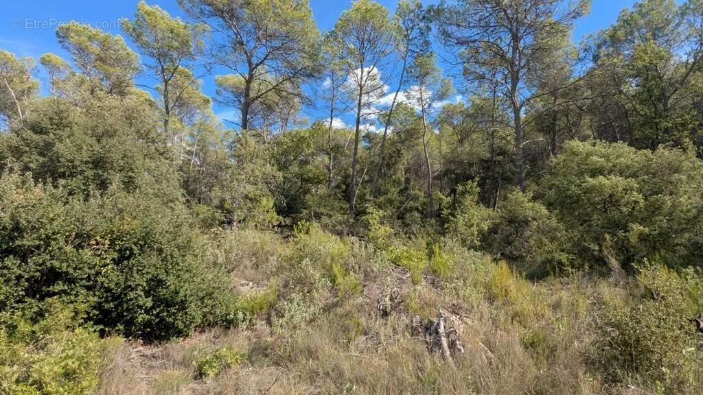 Terrain à ENTRECASTEAUX