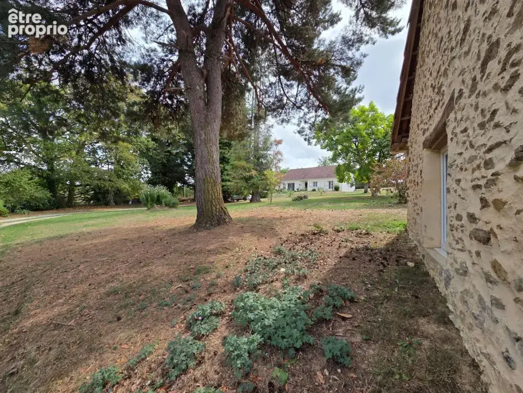 Maison 8 pièces, 179 m², avec terrain de 4125 m² - photo 17