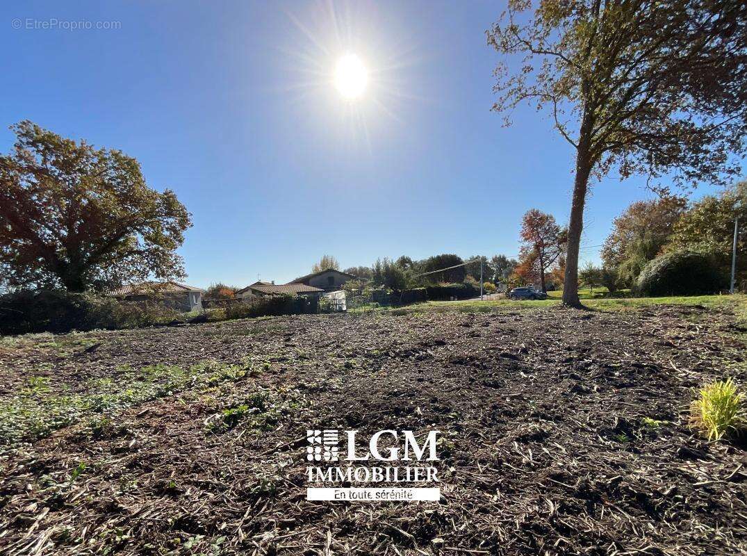 Terrain à SAINT-ETIENNE-D'ORTHE
