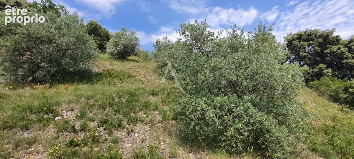 Villa lumineuse sur les hauteurs de Corbieres En Provence - photo 6