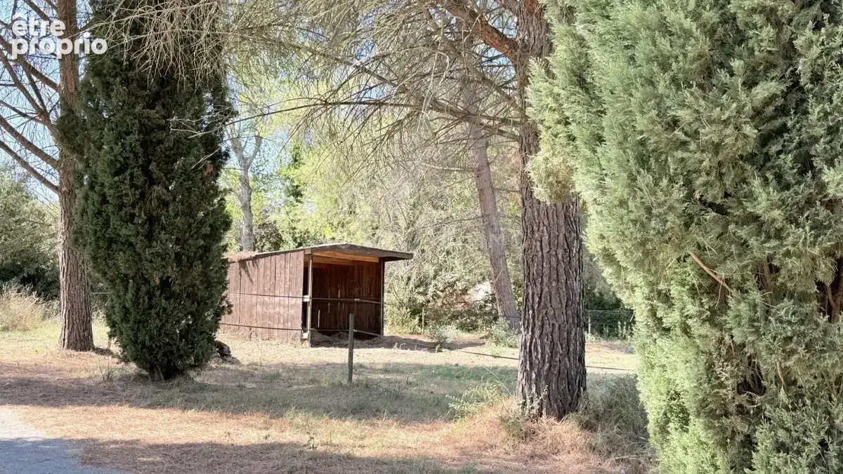 Bassin de Thau - charmante propriété sur 4,5 hectares - photo 11