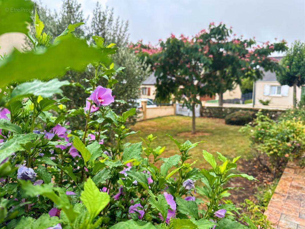 Maison à SAINT-DENIS-D'ANJOU