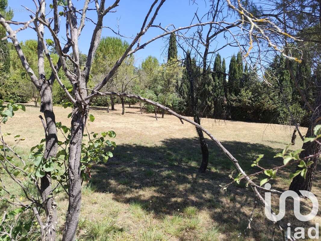 Photo 3 - Terrain à MONTPELLIER