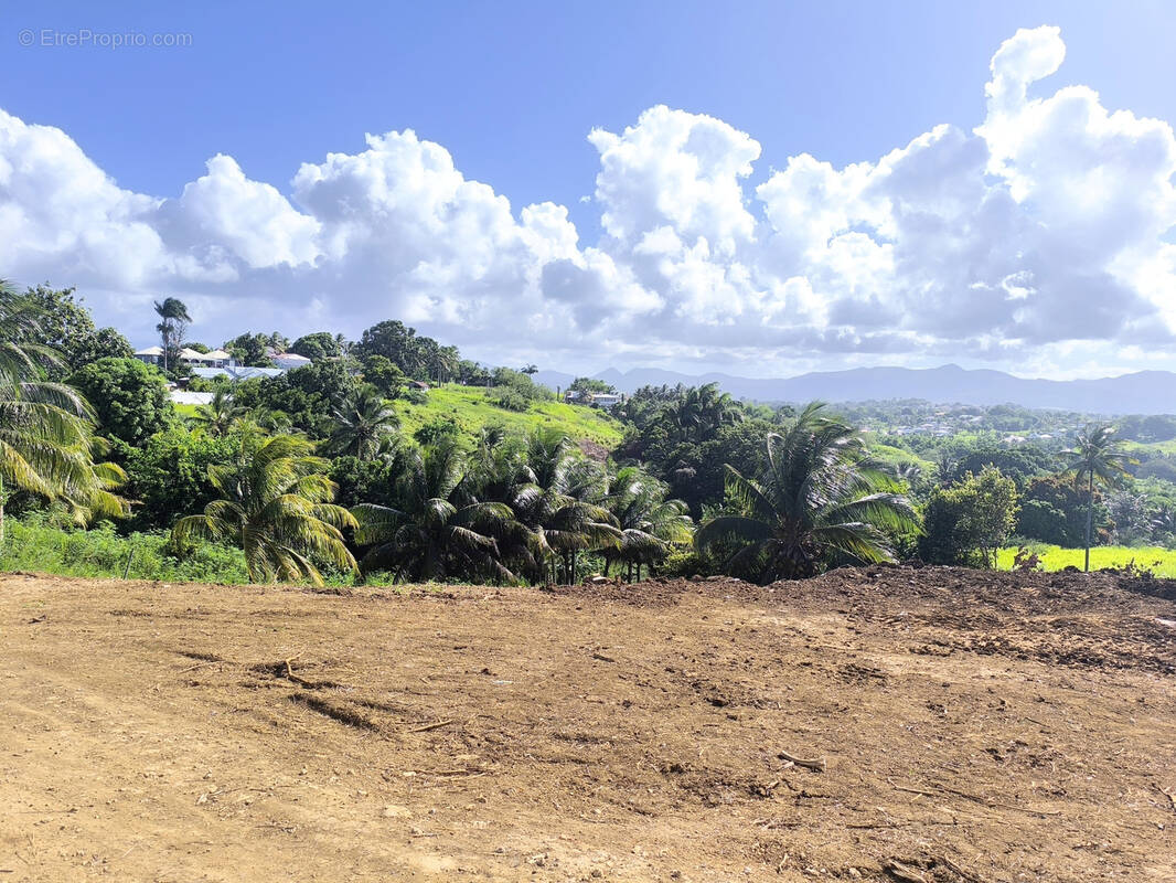 Terrain à BAIE-MAHAULT