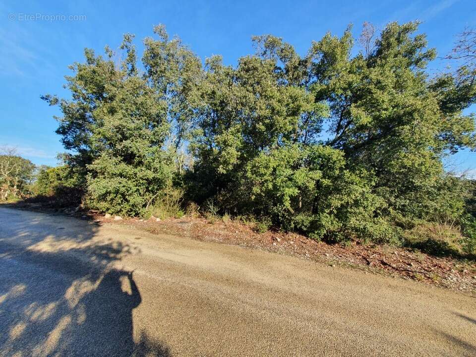 Terrain à LABASTIDE-DE-VIRAC