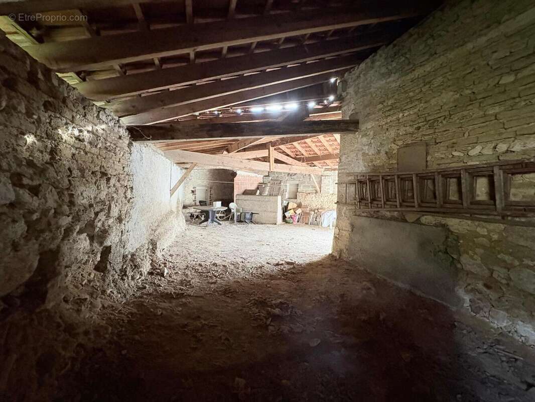 Photo 9 - Maison à DUNES