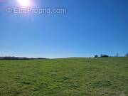 Terrain à BRIN-SUR-SEILLE