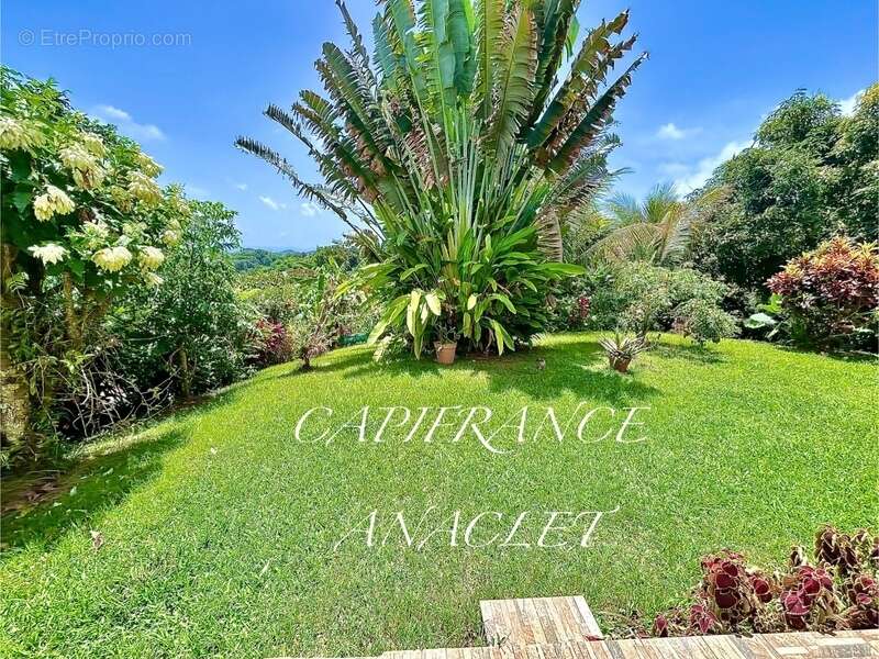 Maison à RIVIERE-PILOTE