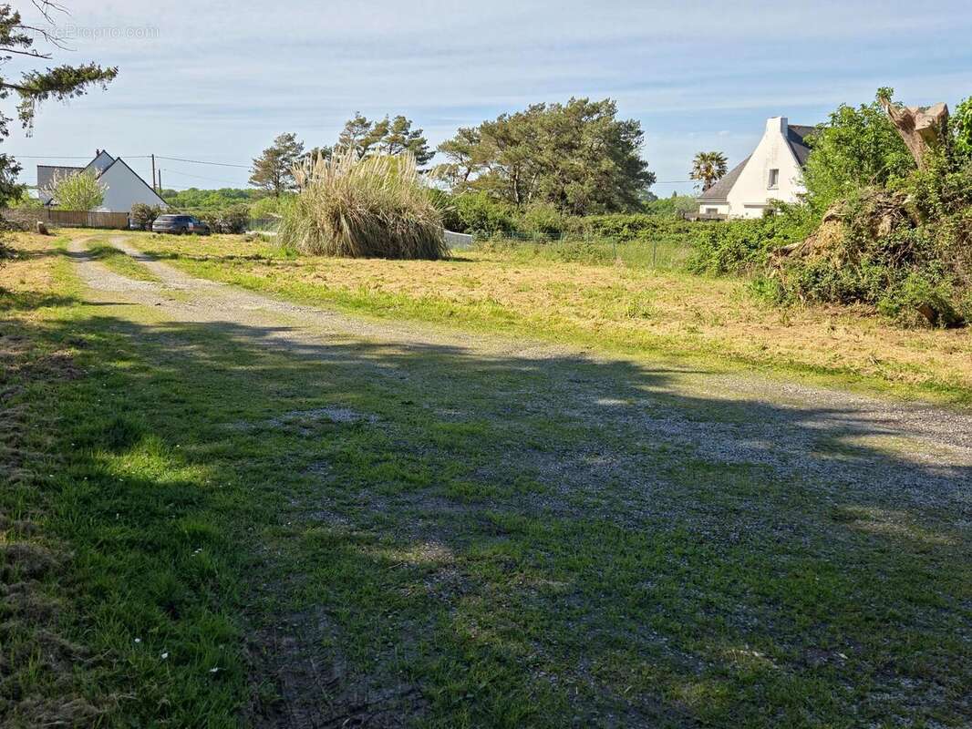 Photo 4 - Terrain à LE TOUR-DU-PARC
