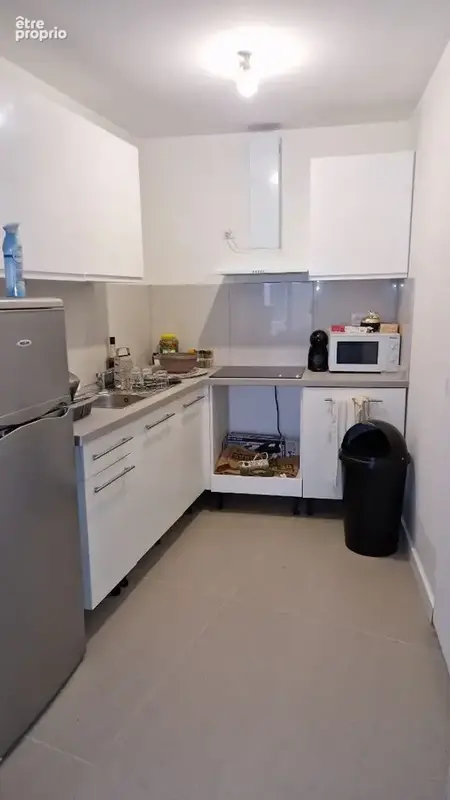 Appartement Villieu Loyes Mollon 1 pièce(s) - photo 3