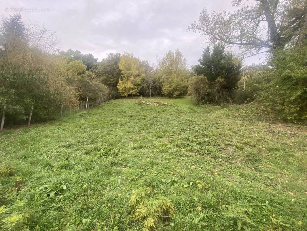 Terrain à VIVIERS-LES-MONTAGNES