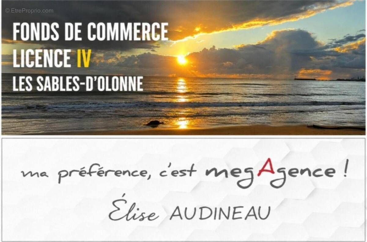 Commerce à LES SABLES-D'OLONNE