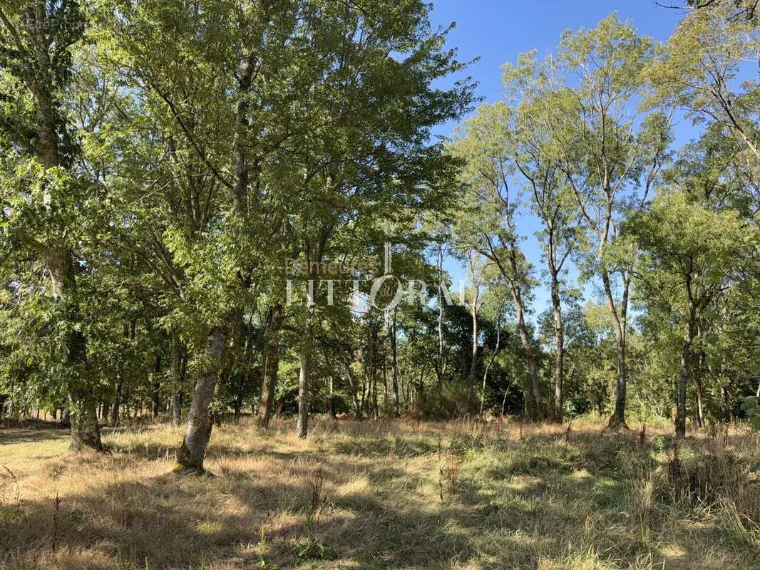 Propriété de caractère du XIXᵉ siècle au cœur d'un parc arboré, entre plages et golf - photo 45