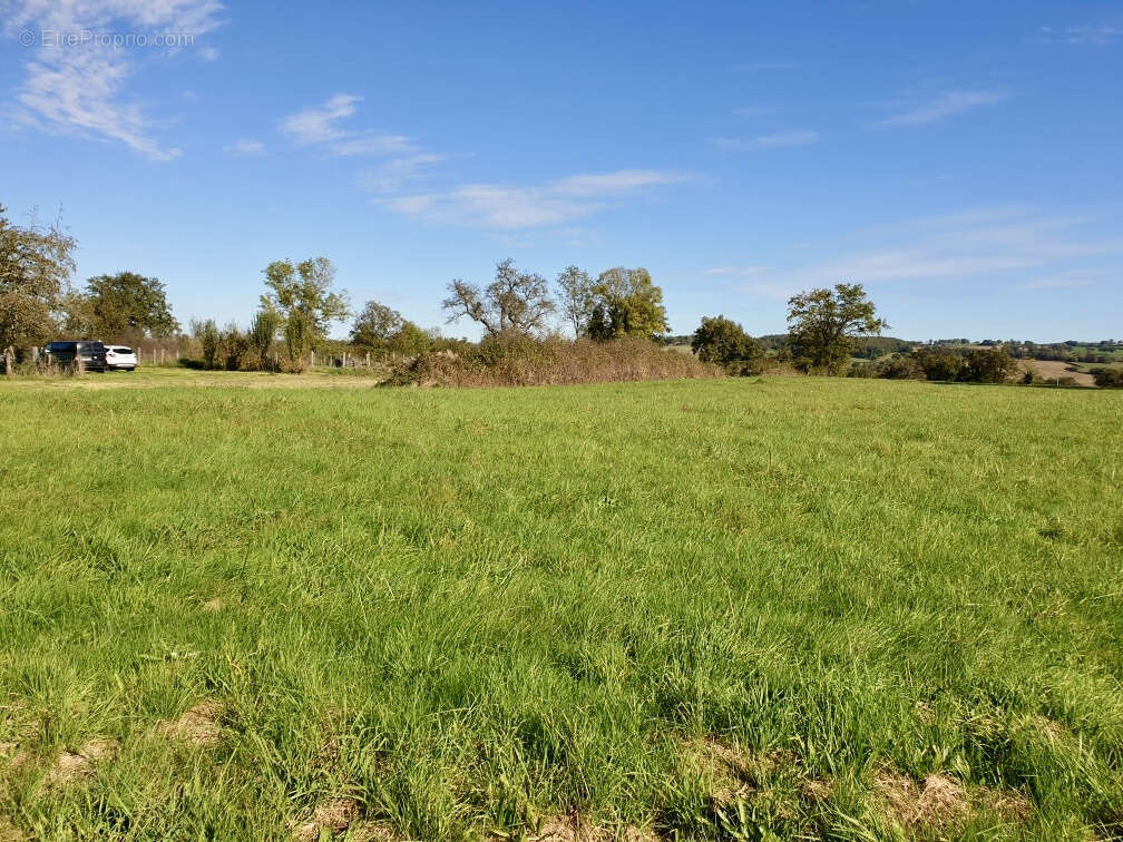 Terrain à TREZELLES