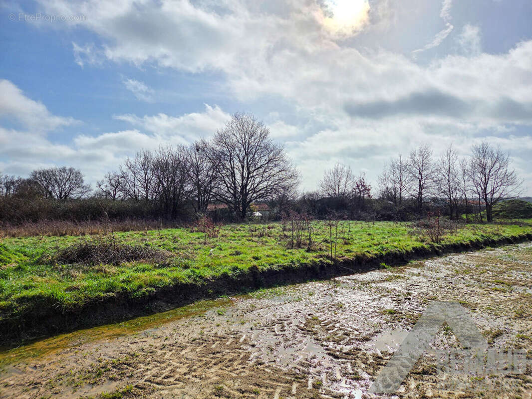 Terrain à APREMONT