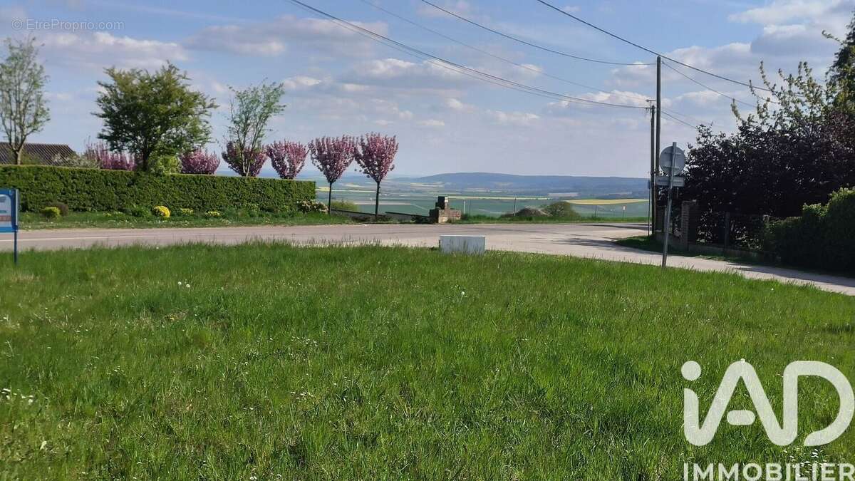 Photo 2 - Terrain à MONTGUEUX