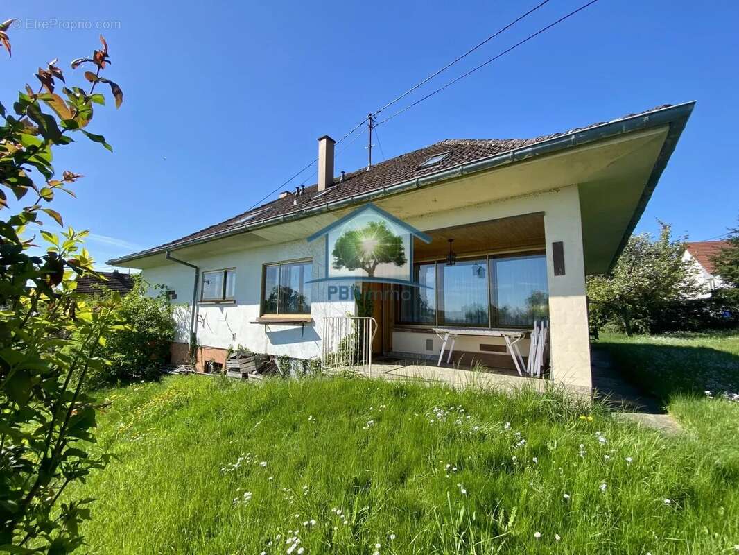 Maison à INGWILLER