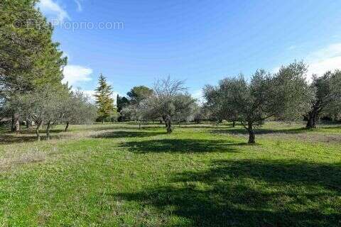 Maison 208 m² à Uzes  - photo 3