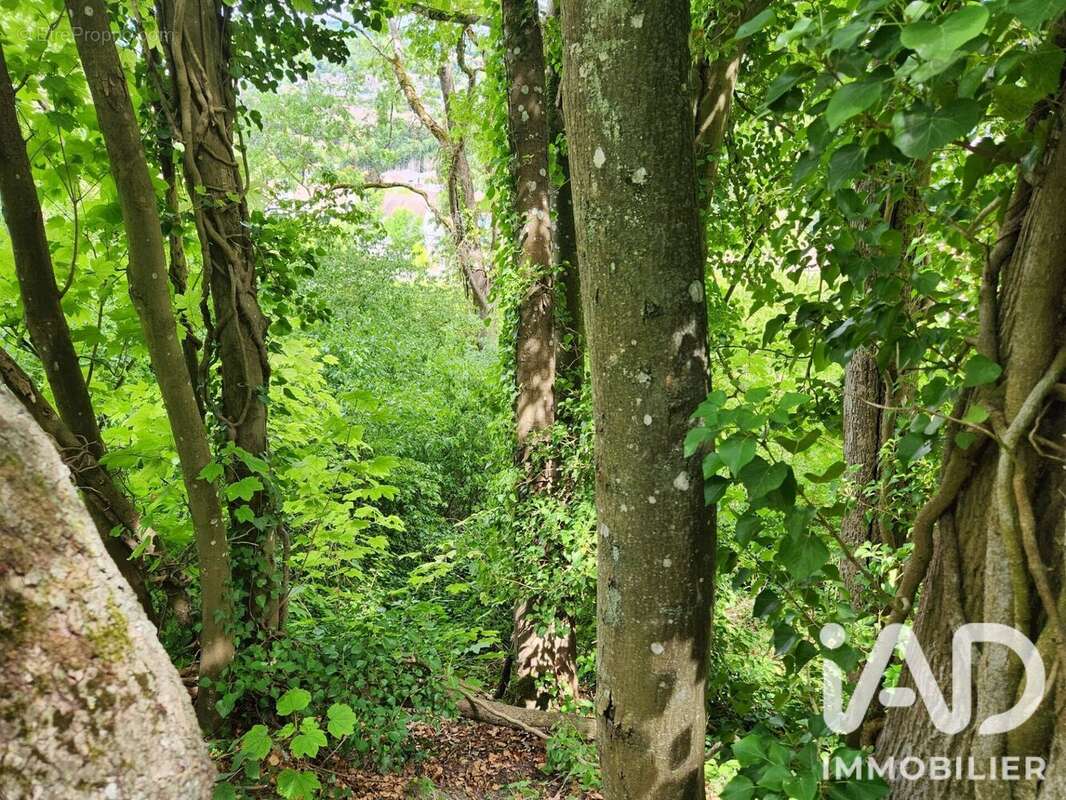 Terrain 2550 m² à Maule  - photo 5