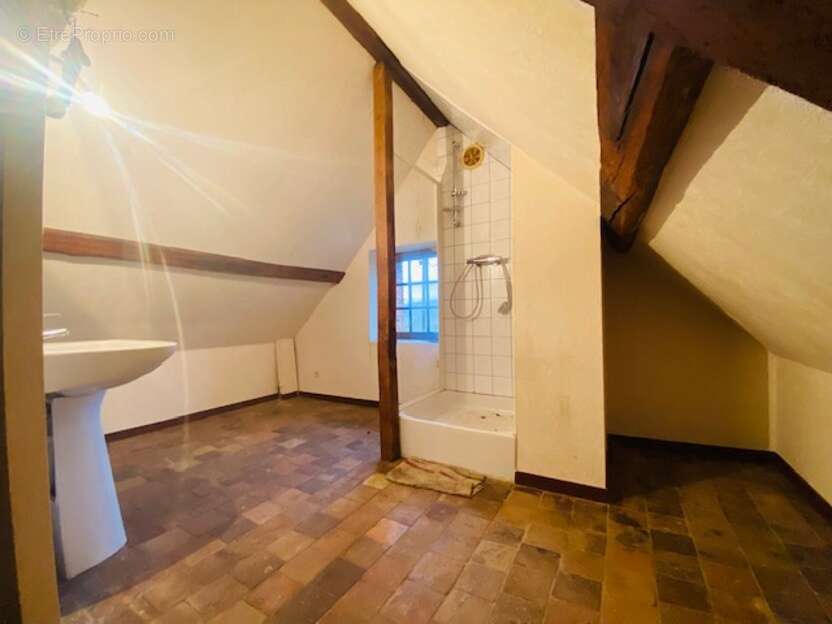 Commerce à LE THEIL