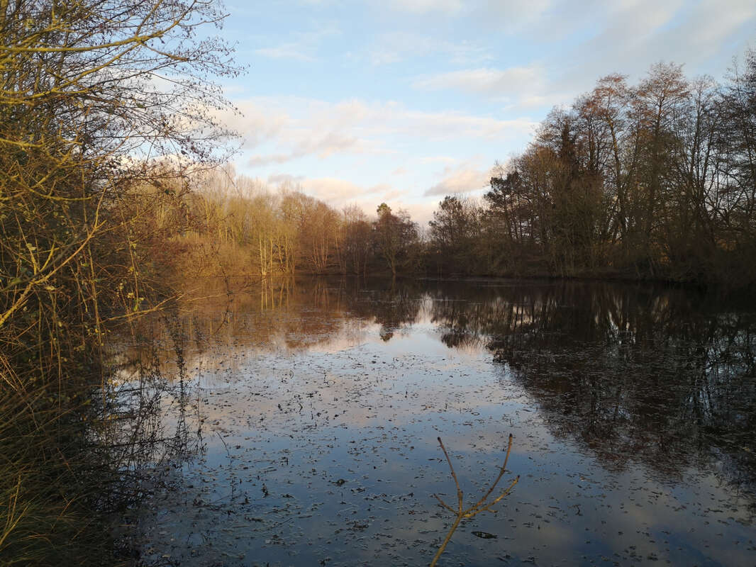 Terrain à SAINTE-CECILE