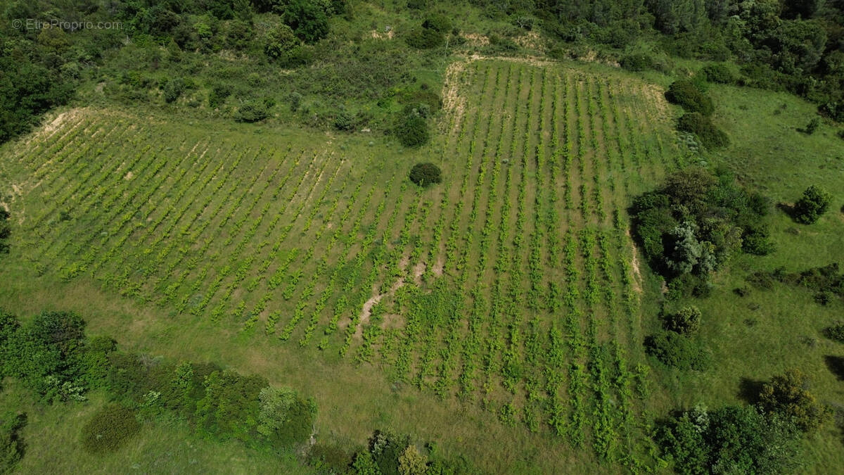 Terrain à PUECHABON