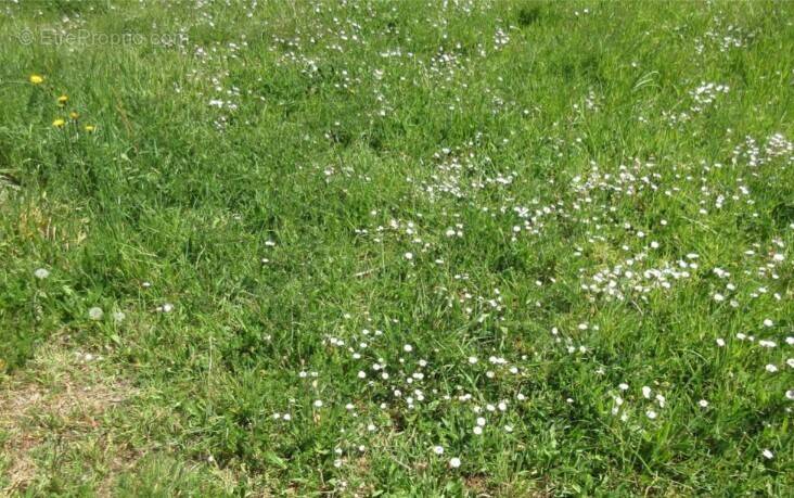 Terrain à SAINT-REMY-EN-MAUGES