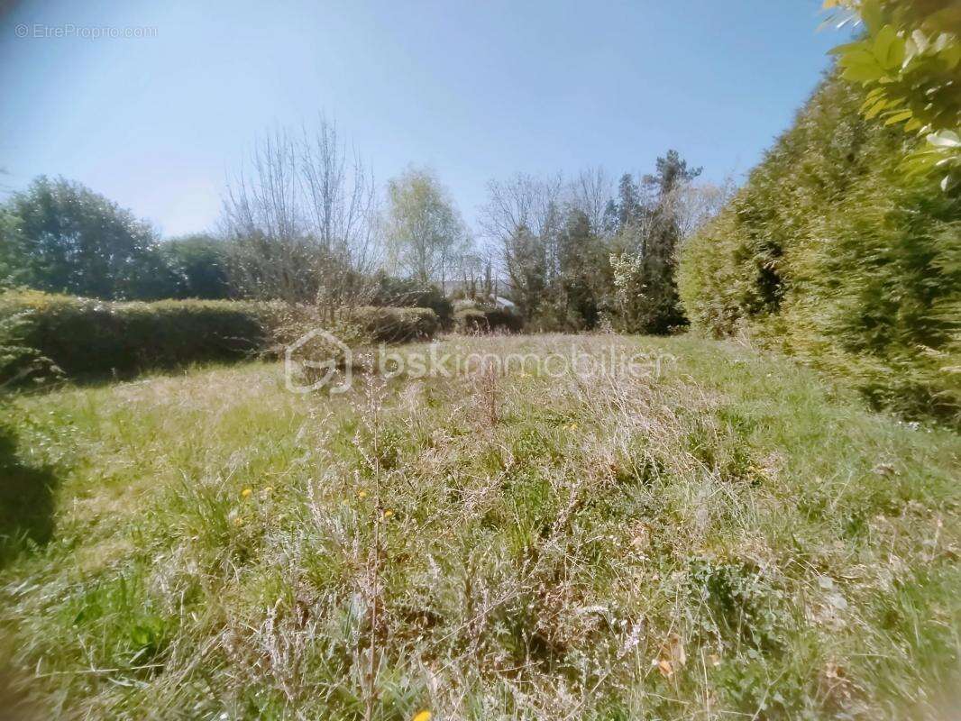 Charmante longère sur un terrain de 9900 m² - Un havre de paix à 30 minutes de Reims - photo 24