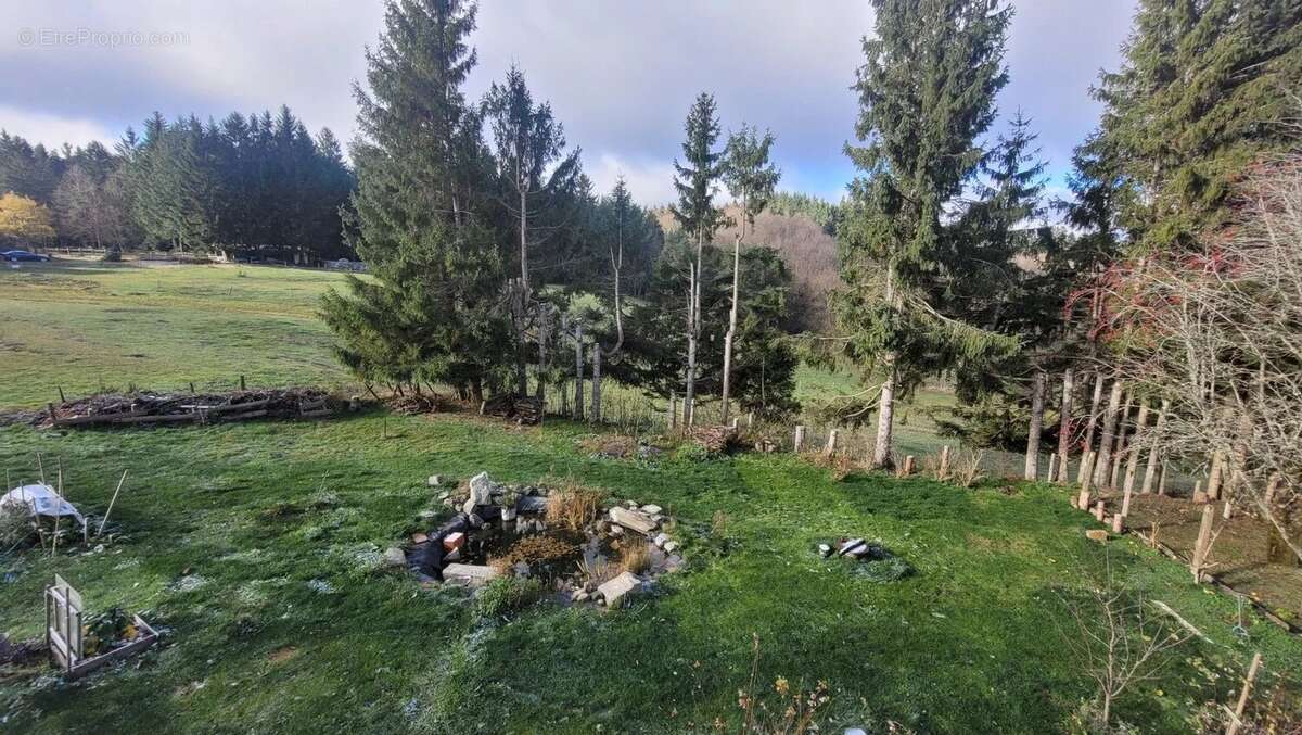 Maison à LE CHAMBON-SUR-LIGNON