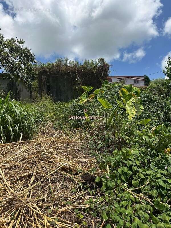 Terrain à LE LAMENTIN
