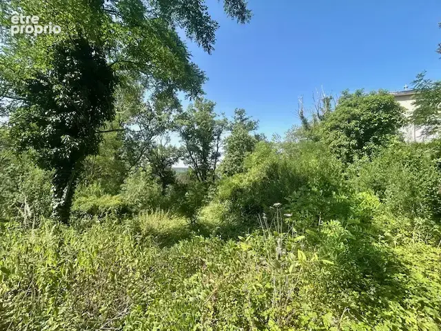 Montlhery - terrain de 5 000 m2 avec deux maisons édifiées sans pc - gros travaux à prévoir - photo 11