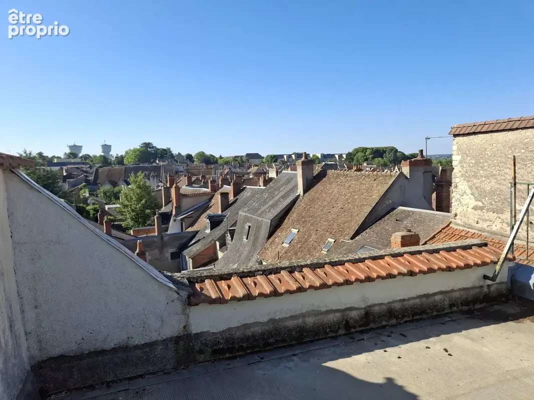 Centre-ville La Charité sur Loire, proche gare - photo 14