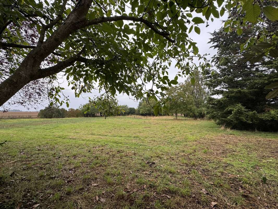 n°7 - Maison à PACY-SUR-EURE