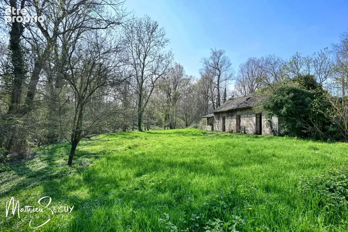 Ancien Moulin sur 1,3 Ha de terrain à MESSIMY (69) - photo 33