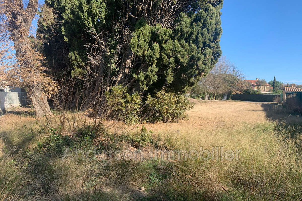 Terrain à PALAU-DEL-VIDRE
