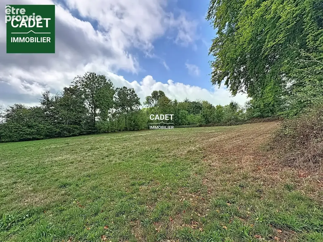 Terrain 15 113 m² à vendre à Villedieu-Les-Poeles (50800) - photo 4