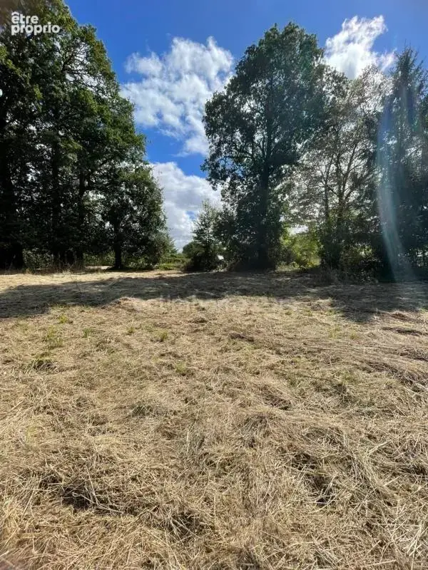 Terrain constructible 1 498 m² au calme — Libre de constructeur (Ploërmel) - photo 6