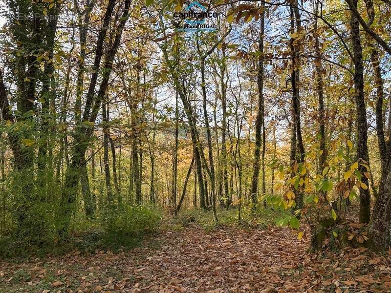 Maison à MONTCABRIER