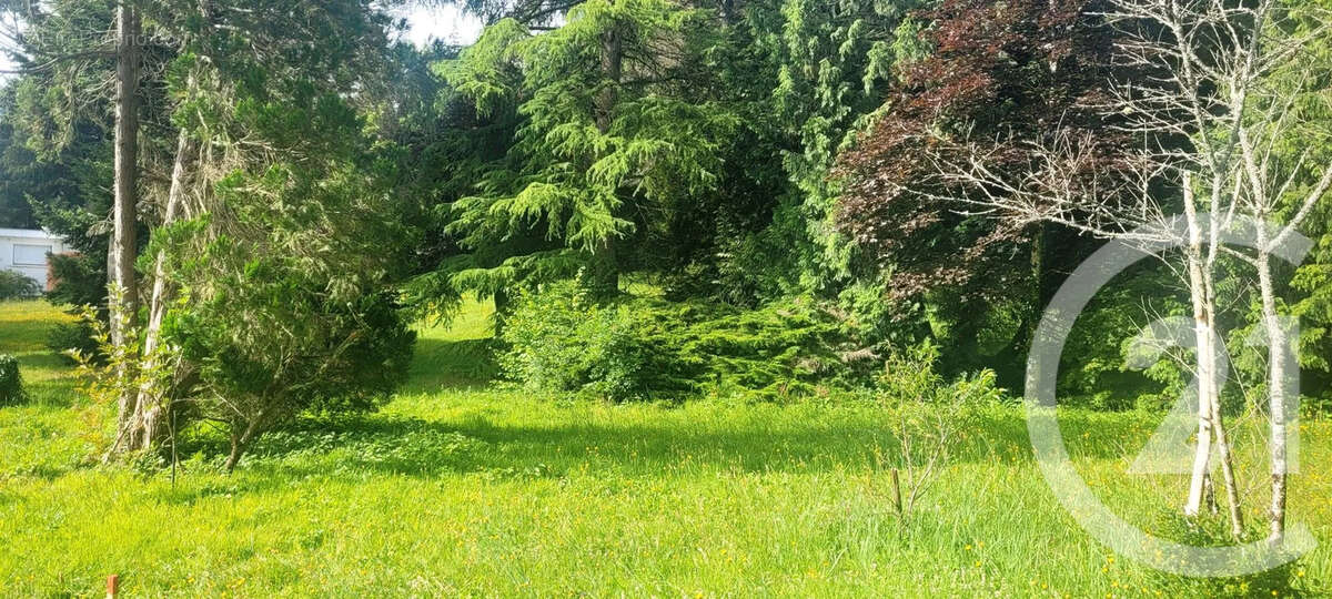 Terrain à SAINT-HILARION