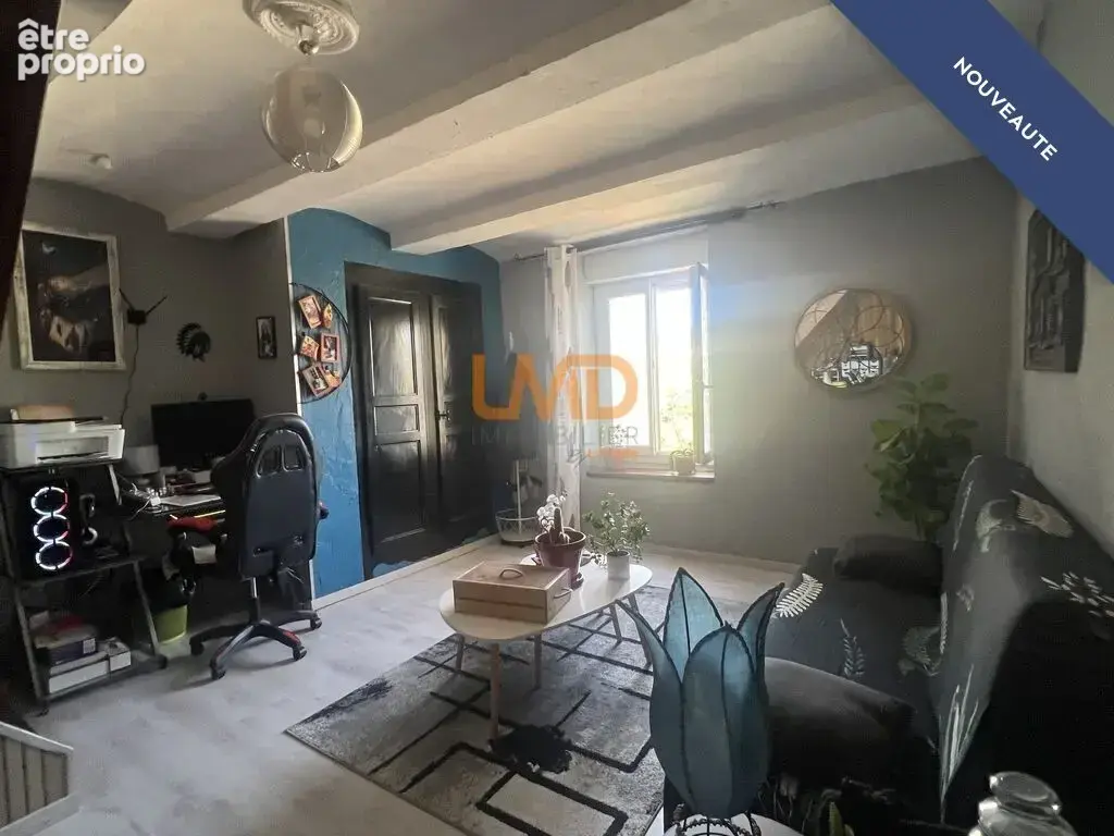 Maison fin 19ème sur un magnifique terrain arboré - photo 19