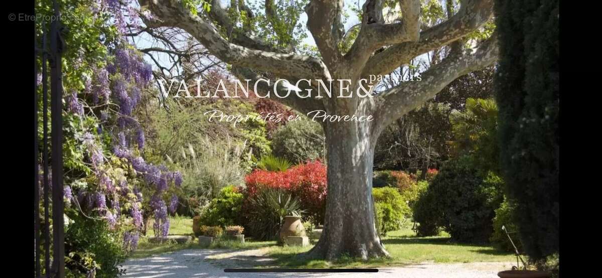Authentique Mas Provençal - photo 2